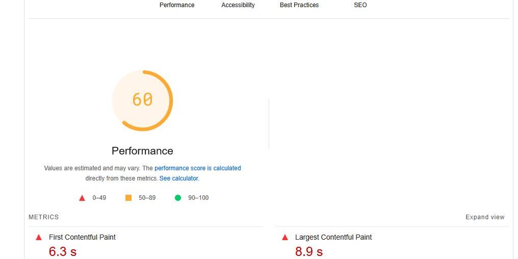 Screenshot 2025-02-25 130235 Google page speed insights