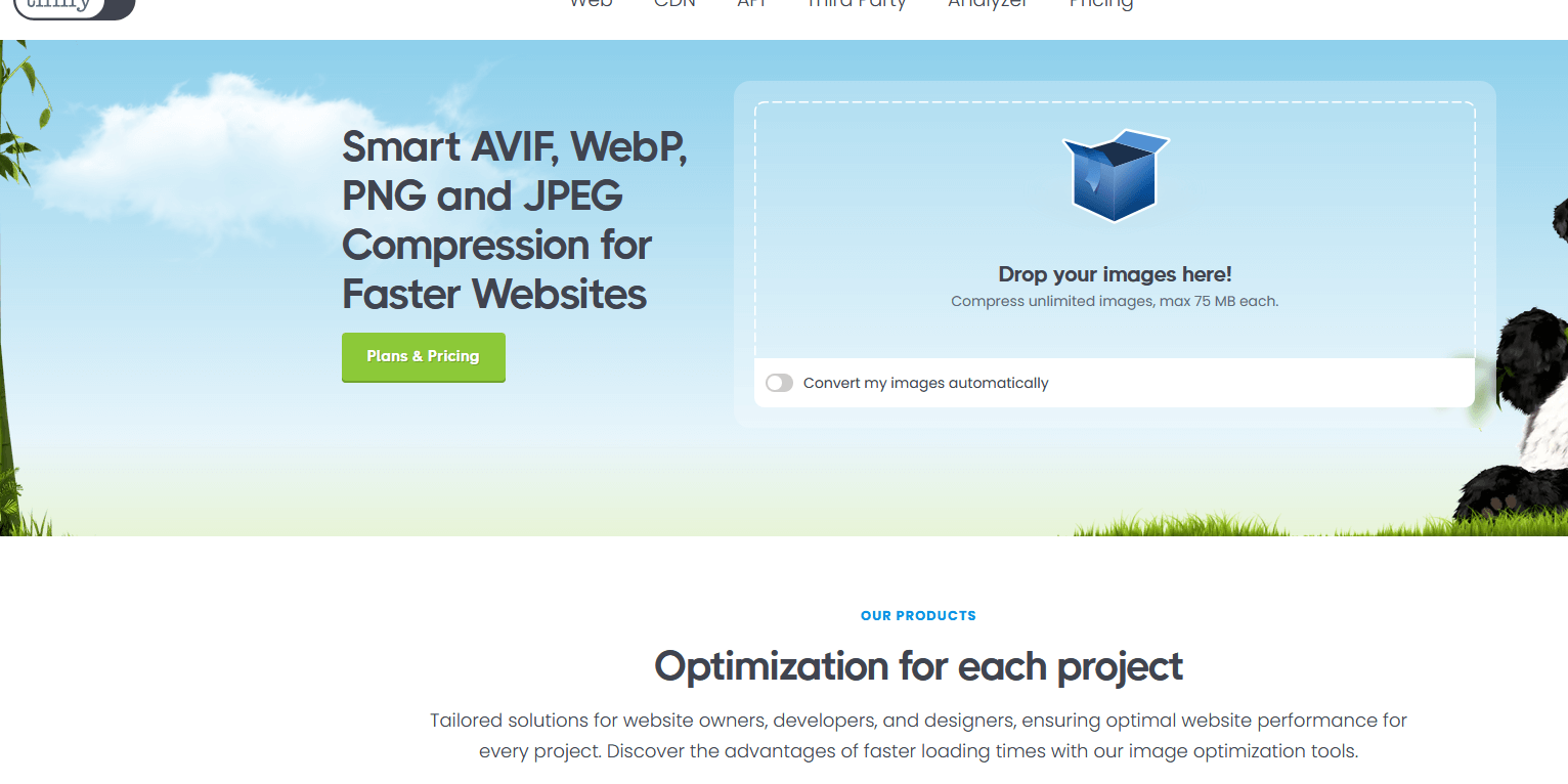 Screenshot 2025-08-13 125707 Tiny PNG tinify image optimisation
